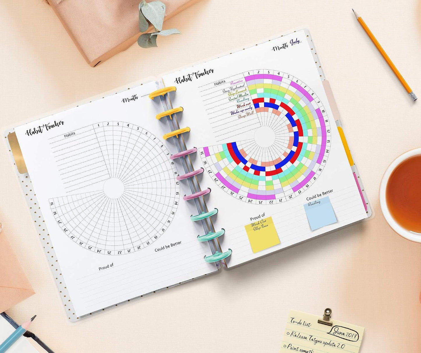 Habit Tracker Inserts for 9 Disc Planners, Habit Log, Resolution Tracker, Monthly Habit Planner for Medium Size Planners (9 Disc Classic (7" x 9.25"))