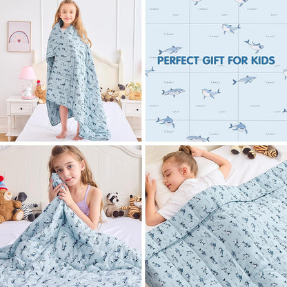 yescool Weighted Lap Pad 2 Pounds Weighted Lap Blanket, Space Plane Small Weighted Blanket, Weighted Throw Blanket Gifts for Travel Indoor Outdoor, 20"x30"