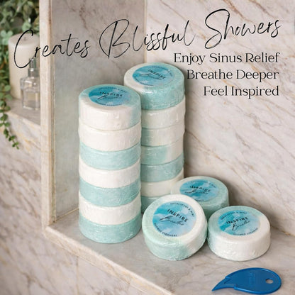 EvolutionUSA Inspire Breathe Shower Steamers – 15 Mint & Eucalyptus Shower Steamers for Women & Men, Vapor Shower Tablets, Self Care Shower Bombs, Luxury Gift for Christmas or Birthday, Spa Gift