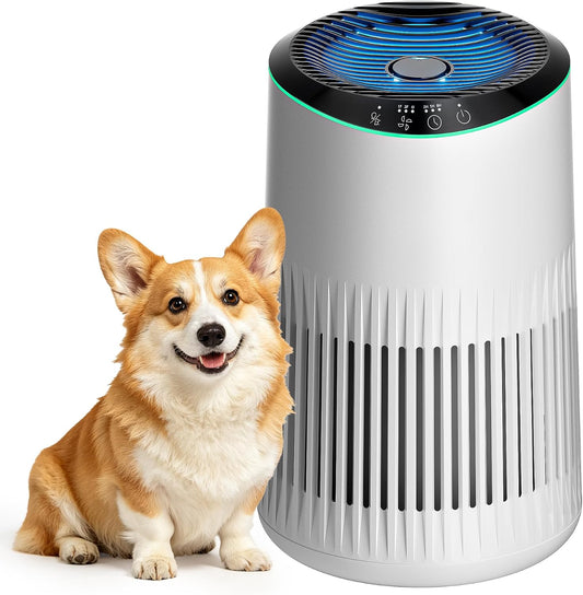 Air Purifiers for Home Bedroom, 22dB Quiet with Sleep Mode, Fragrance Sponge, Blue Ambient Light for Smoke, Dander & Odors, Covers up to 300 ft, High Torque Motor Ideal for Office, White