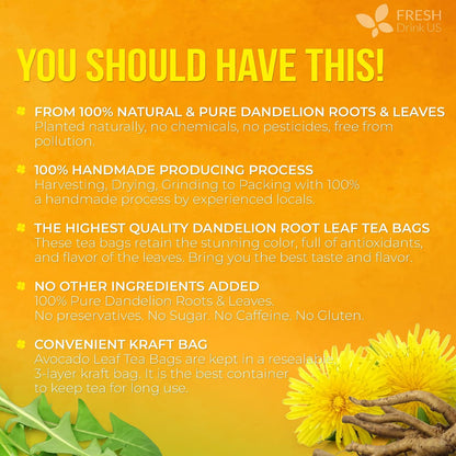 FreshDrinkUS, Premium 75 Dandelion Leaf and Roots Tea Bags, 100% Natural & Pure, Herbal Tea, Daily Infusion Botanical, No Sugar, No Caffeine, No Gluten, Vegan. Powerful Support.