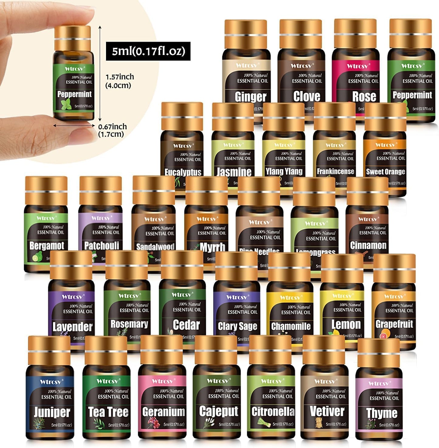 Essential Oils Set - Top 15 Scents for Diffuser, Humidifier, Skin Care, Aromatherapy, Massage, Candle & Soap Making - Fragrance Gift Set (5ml)
