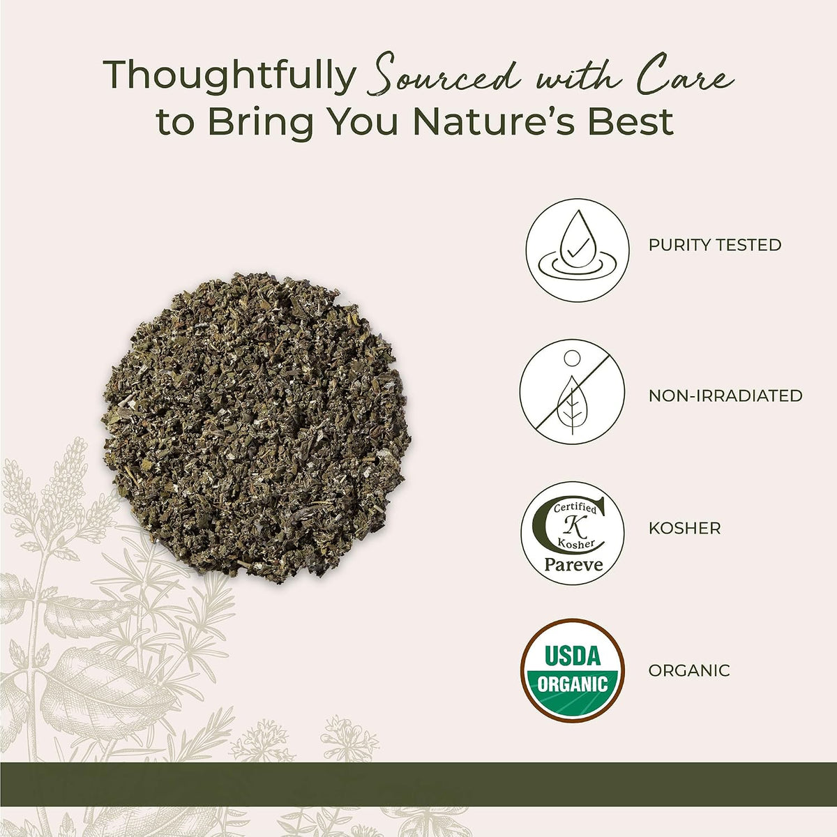 Starwest Botanicals Organic Raspberry Leaf, Cut & Sifted - Bulk 1 lb Bag