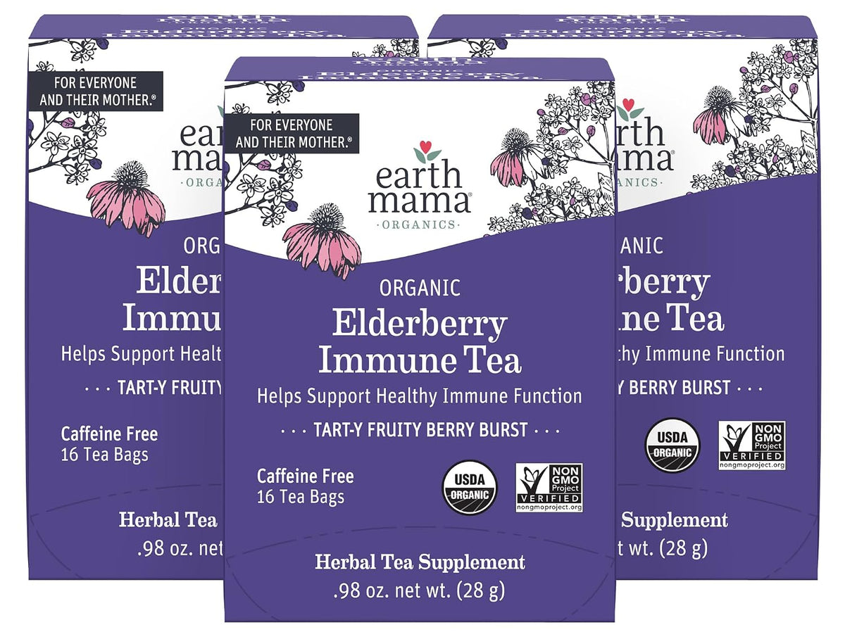 Earth Mama Organic Elderberry Immune Support Tea with Echinacea | Safe For Pregnancy, Breastfeeding, Postpartum, Kids and Family Essentials, Decaf Tea with Ginger & Rooibos, 16-Count (3-Pack)