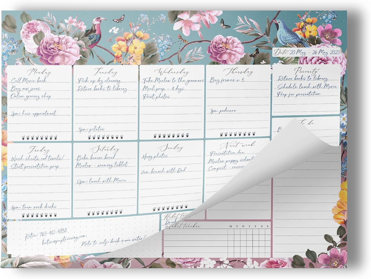 Peachly Desktop Weekly Planner Notepad | 60 Undated Tear-Off Pages | Schedule Daily To-Do Lists | Increase Your Productivity In Less Than 5 Minutes A Week | Achieve Your Goals | Peach and Mint Fern