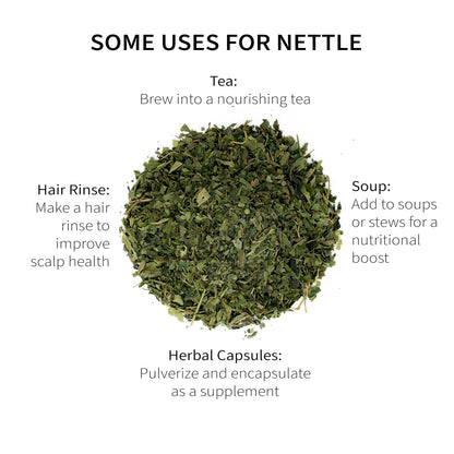 Wild-Harvested Wisconsin Nettle Leaf (Urtica dioica) | Whole Loose Leaf Botanical | 5.5 oz | 77 Servings | Sacred Blossom Farm | Single Source | Caffeine Free Herbal Tea