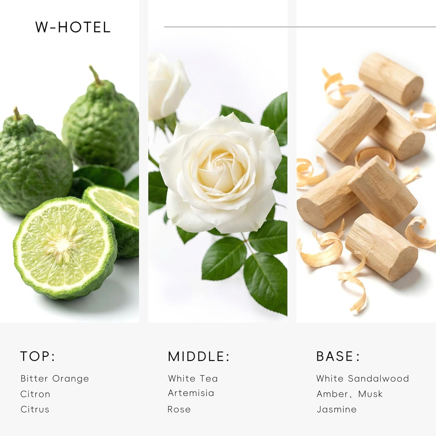 Hotel Diffuser Oil Inspired by Ritz-Carlton Scent - Premium Fragrance Oil No. SA61119323 for Ultrasonic and Waterless Diffuser - 120 mL, 4 fl oz