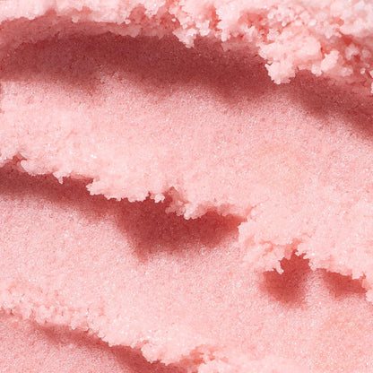 LALICIOUS Endless Summer Exfoliating & Moisturizing Body Scrub | Sugar & Coconut Oil | Pre-Shave Scrub for Ingrown Hairs & Razor Bumps | Gently Buffs & Smooths Sensitive Skin | No Parabens Large 16oz