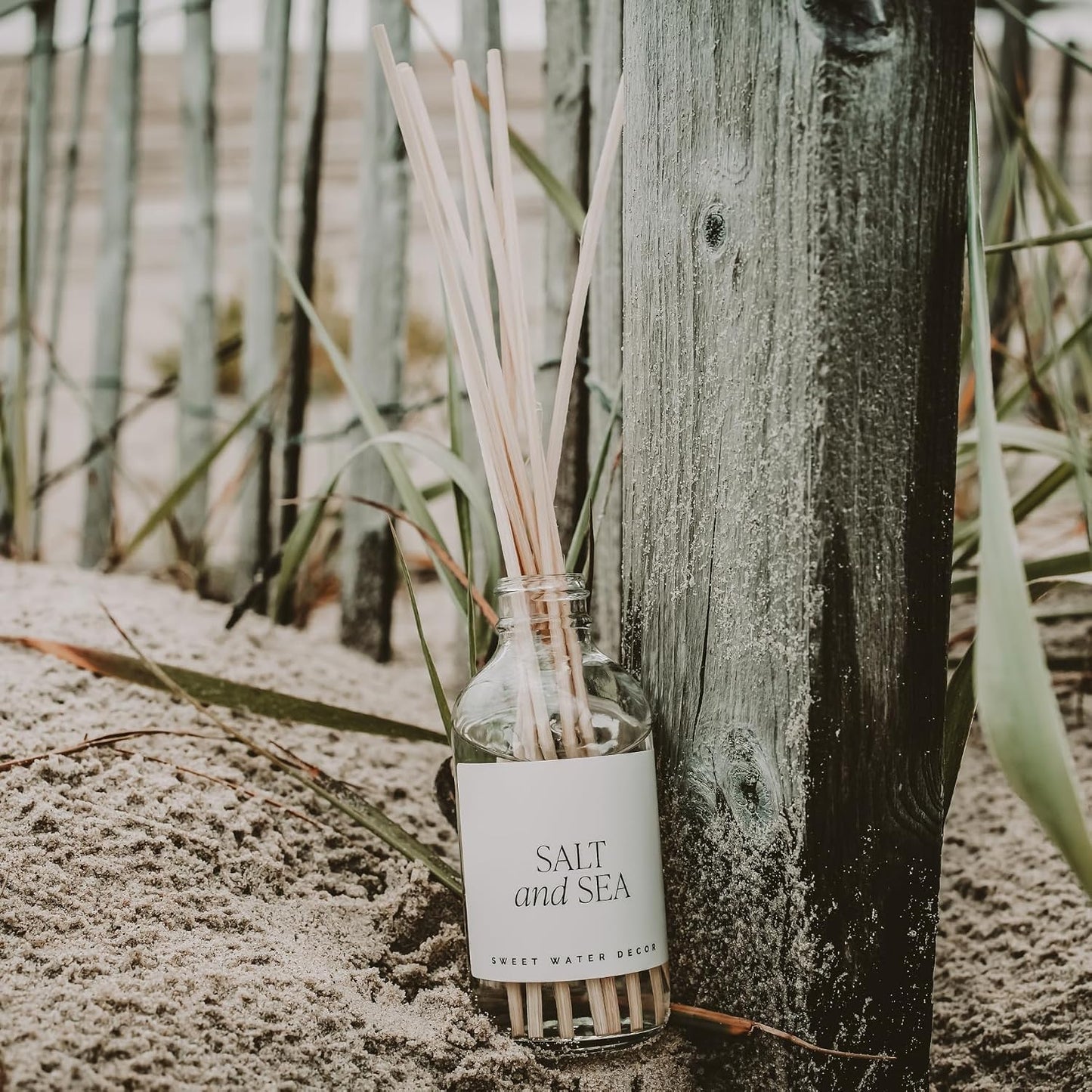Sweet Water Decor Salt & Sea Reed Diffuser Set - Sea Salt Citrus & Musk Amber Scent Diffuser - Reed Diffusers for Home with Long Lasting Fragrance - Non-Toxic Oil Reed Diffuser - Made in the USA