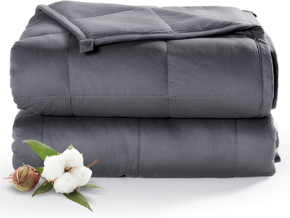 Sivio Weighted Lap Pad 2lbs, Cotton Weighted Blanket Sensory Weighted Lap Blanket Indoor Outdoor, 19 x 21 Inch, Blue Dinosaur