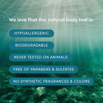 LATHER - Natural Sea Wool Sponge, 5-6" - Organic Exfoliating Body Scrubber - Soft, Gentle Cleansing - Hypoallergenic - All Skin Types - Florida Natural Loofah Sponge - Cruelty Free - Beauty & Skincare