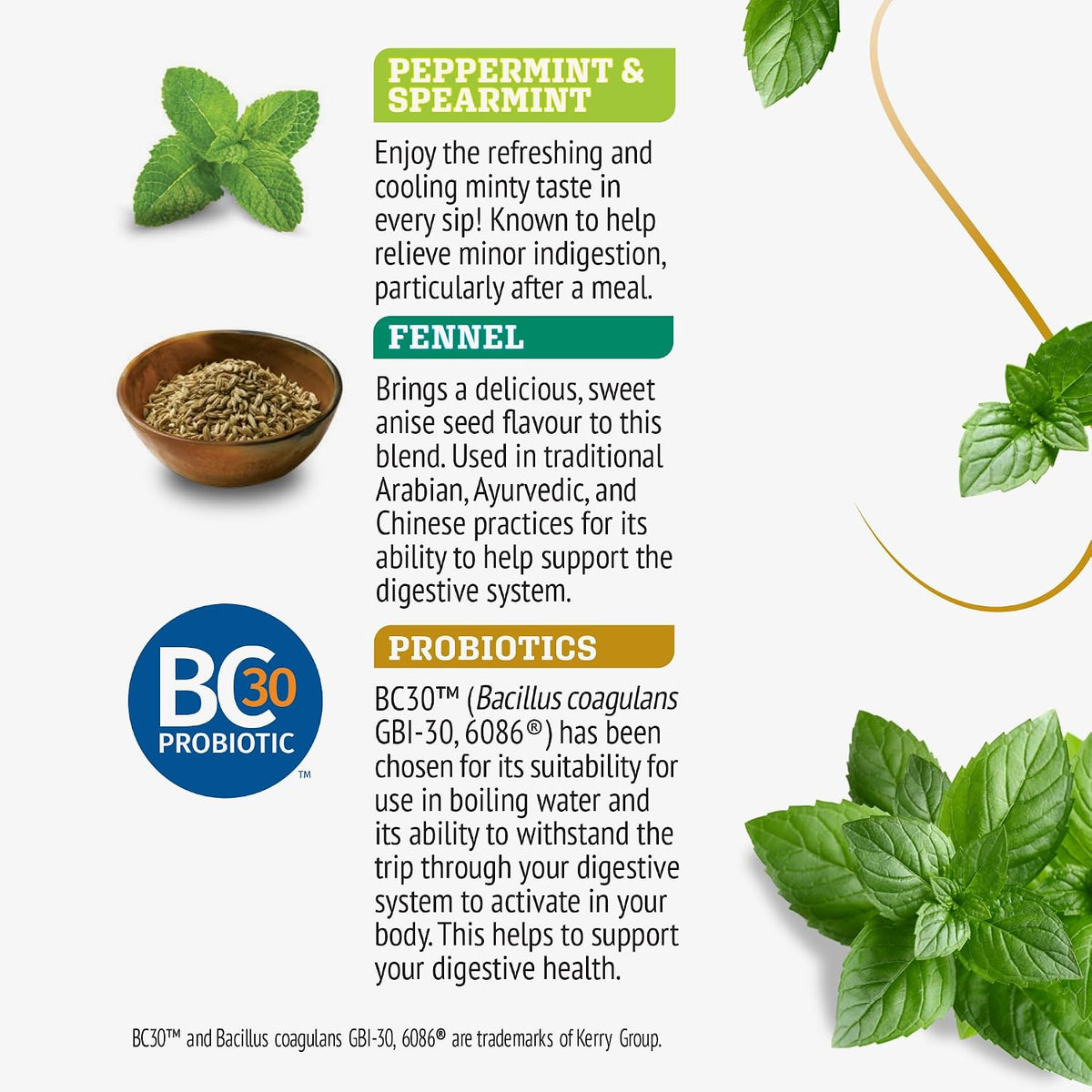 Twinings Superblends Probiotics+ Peppermint & Fennel Herbal Tea, 250 Million CFUs per Cup, 18 Tea Bags (Pack of 1), Naturally Caffeine-Free, Enjoy Hot or Iced
