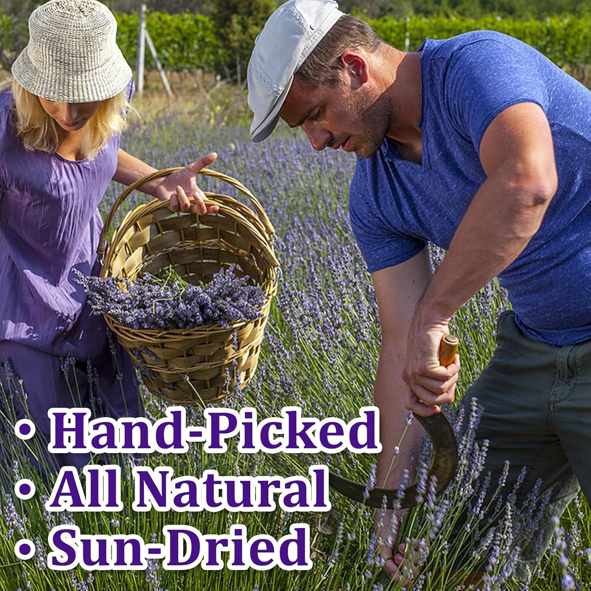110+ Edible Dried Lavender Sprigs for Cake Decorating & Cocktail Garnish