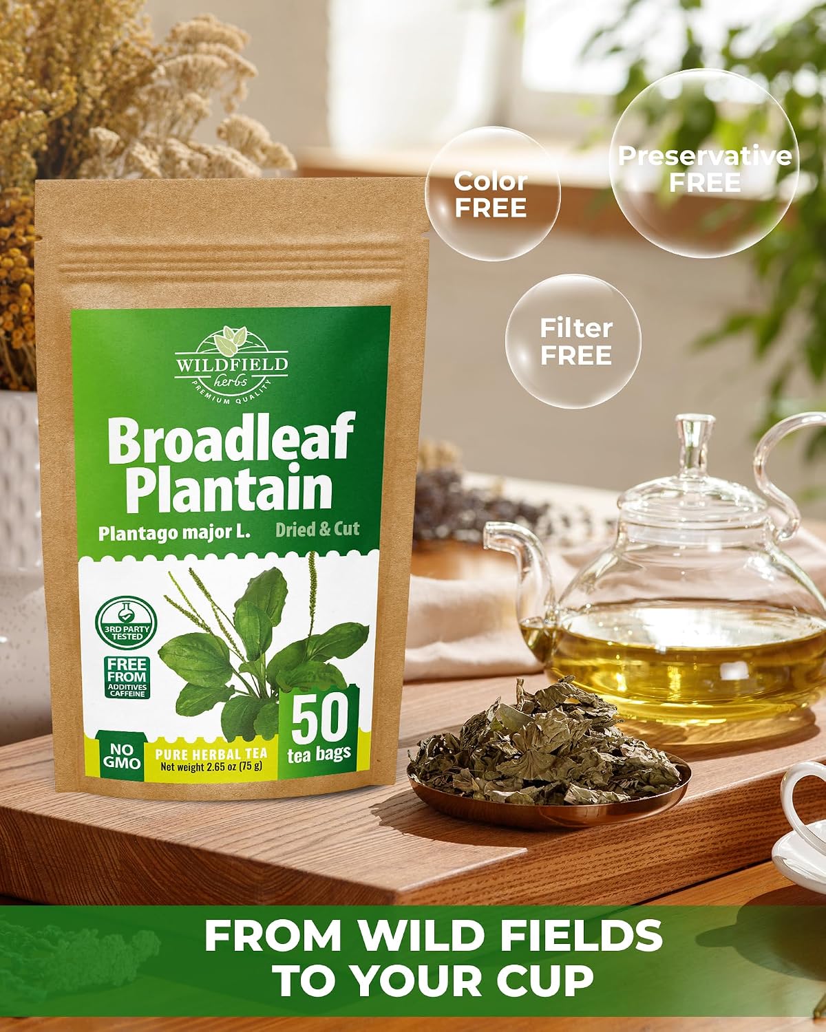 50 Bags Broadleaf Plantain Leaf Herb Tea (Plantago Majoris Folia) Plantain Leaves Tea - 50 Count 1.5 g Bags Llanten
