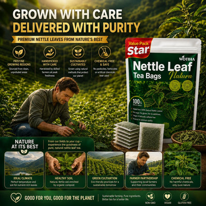 WOTIHA Premium Natural Nettle Leaf Tea Bags, 60 Count – 100% Pure Herbal Tea,Supports Kidney & Joint Health Caffeine-Free, Non-GMO, Additive-Free, Gluten-Free