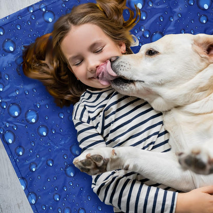 Drydiet Cooling Pad Mat for Bed Cooling Mattress Pad Gel for Sleep, Summer Hot Flashes, Adult, Pets, No Water or Electricity Required(Plain,48 x 28 Inch,Light Blue)