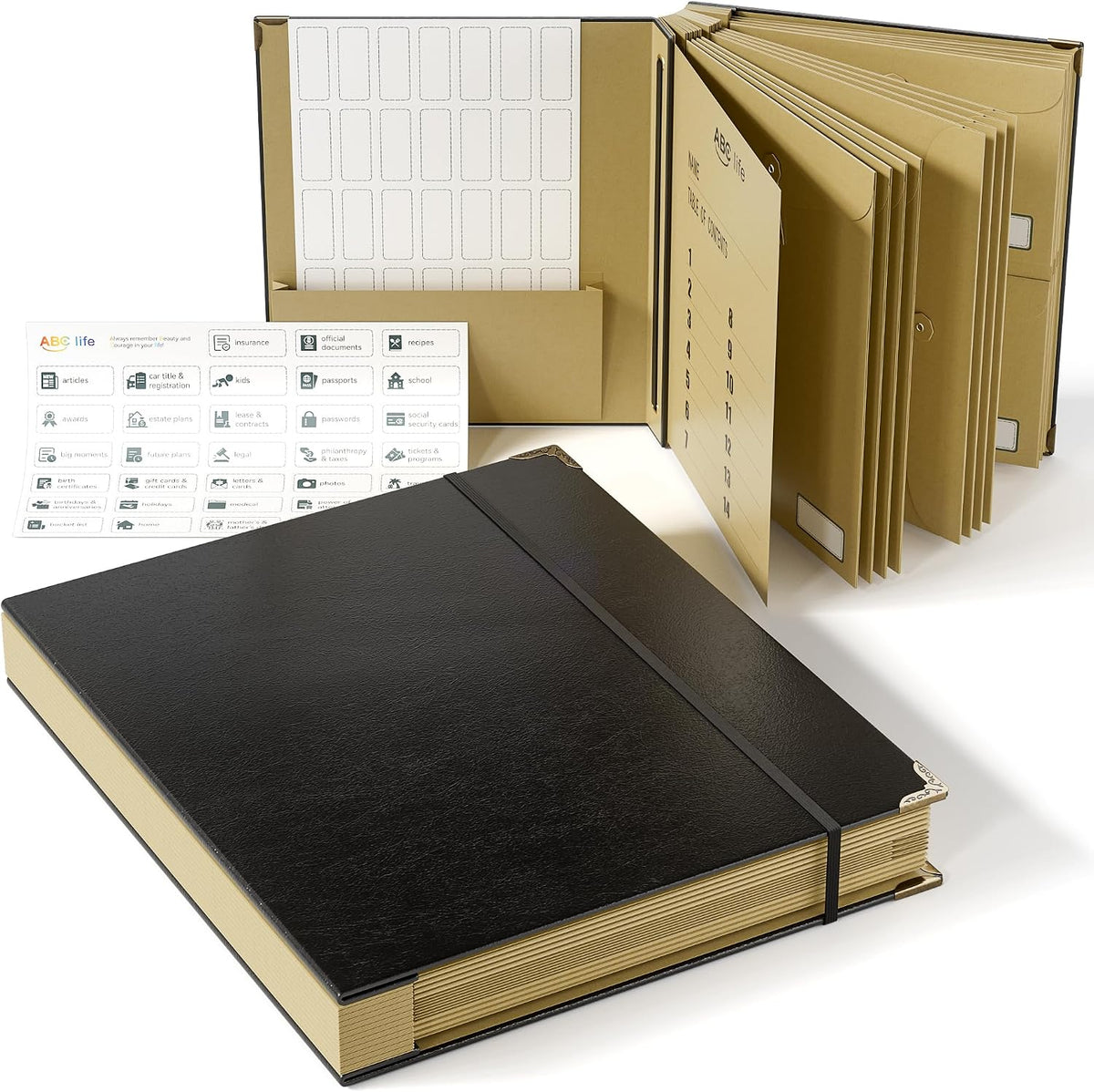 ABC life Important Document Organizer, Black