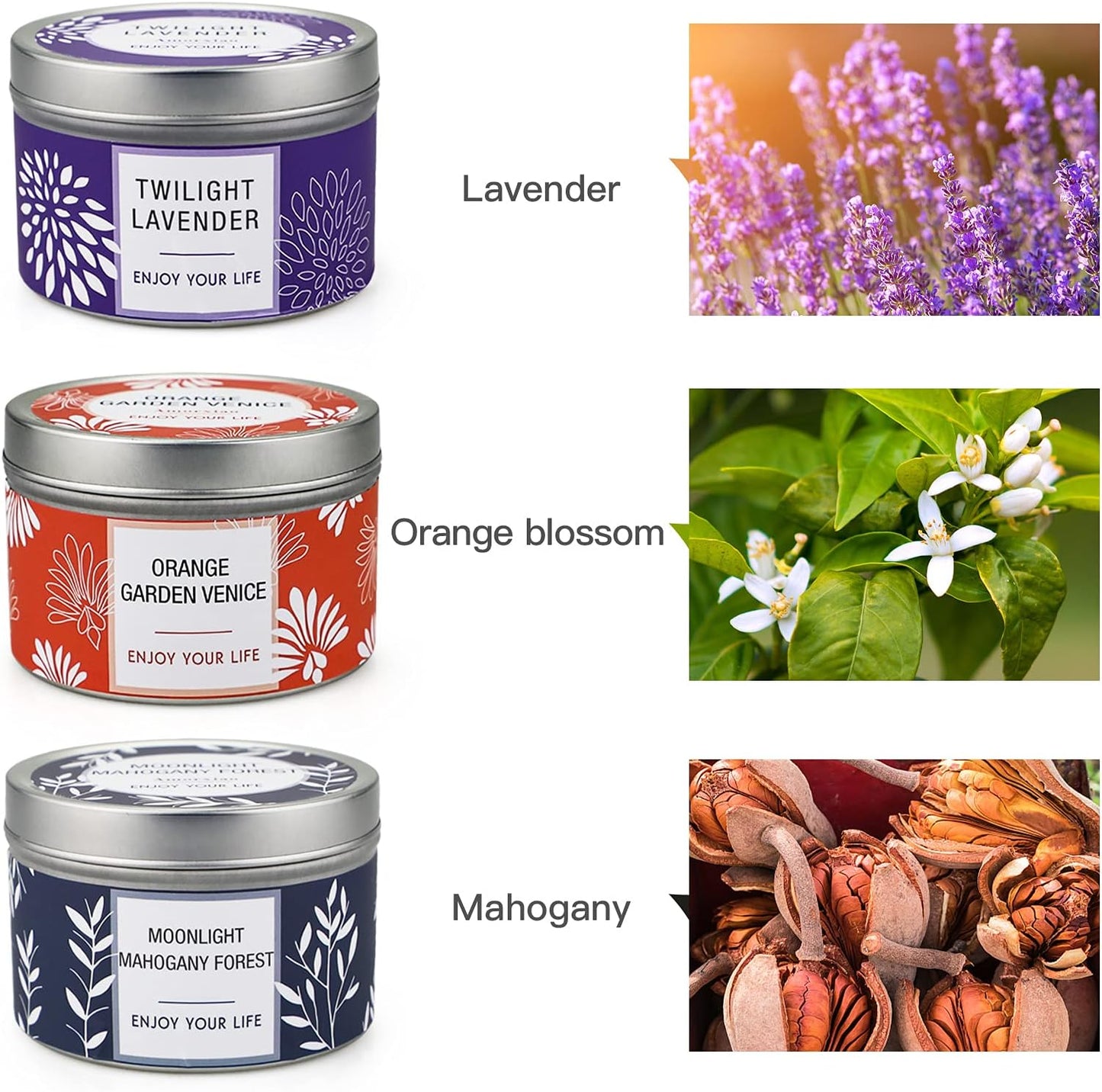 Candles, Scented Candles Gift Set for Women, 8 Pack Fruity Floral Soy Wax Aromatherapy Candles, Travel Tin Candles in Artist Gift Box, Birthday Gifts for Mom, Wife, Sister, Friend, Housewarming