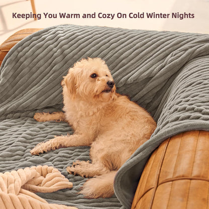 GOTCOZY Heated Throw Blanket, 50''X60'' - Soft Silky Plush Electric Blanket with 4 Heating Levels & 3 Hour Auto Off, ETL Certified, Machine Washable (Grey)