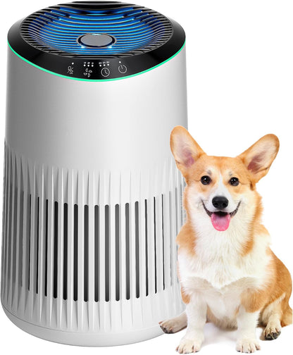 Air Purifiers for Bedroom Home for Smoke Pet Dander Odors, Air Purifier with Sleep Mode Small Air Purifier with Fragrance Sponge for Bedroom Office, Blue Ambient Light, 23dB Quiet, 2 Pack Ivory
