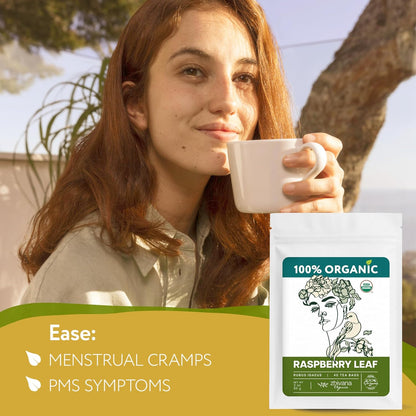 Organic Raspberry Leaf Tea Bags (40 Bleach-Free & Microplastic-Free TeaBags) - Womens Health, Fertility