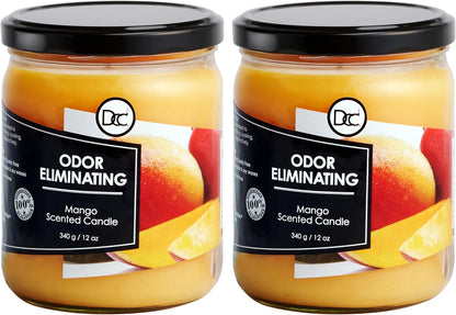 Vanilla Bean Odor Eliminating Highly Fragranced Candle - Eliminates 95% of Pet, Smoke, Food, and Other Smells Quickly - Up to 80 Hour Burn time - 12 Ounce Premium Soy Blend - Colors A