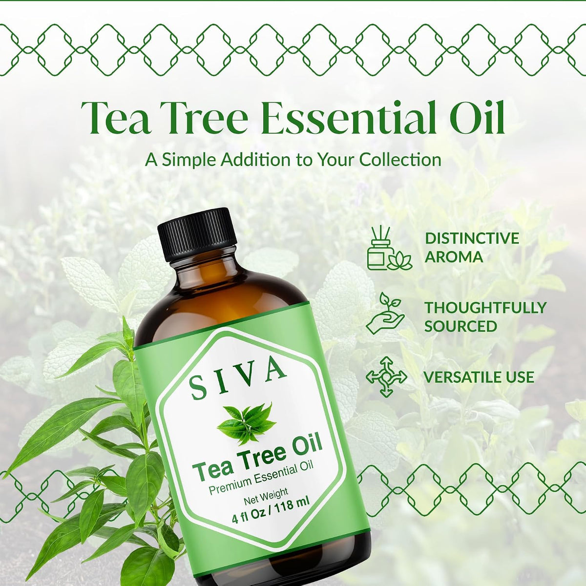 Siva Lavender Essential Oil, Huge Bottle, Large Size, 16 Fl Oz (473 ml)