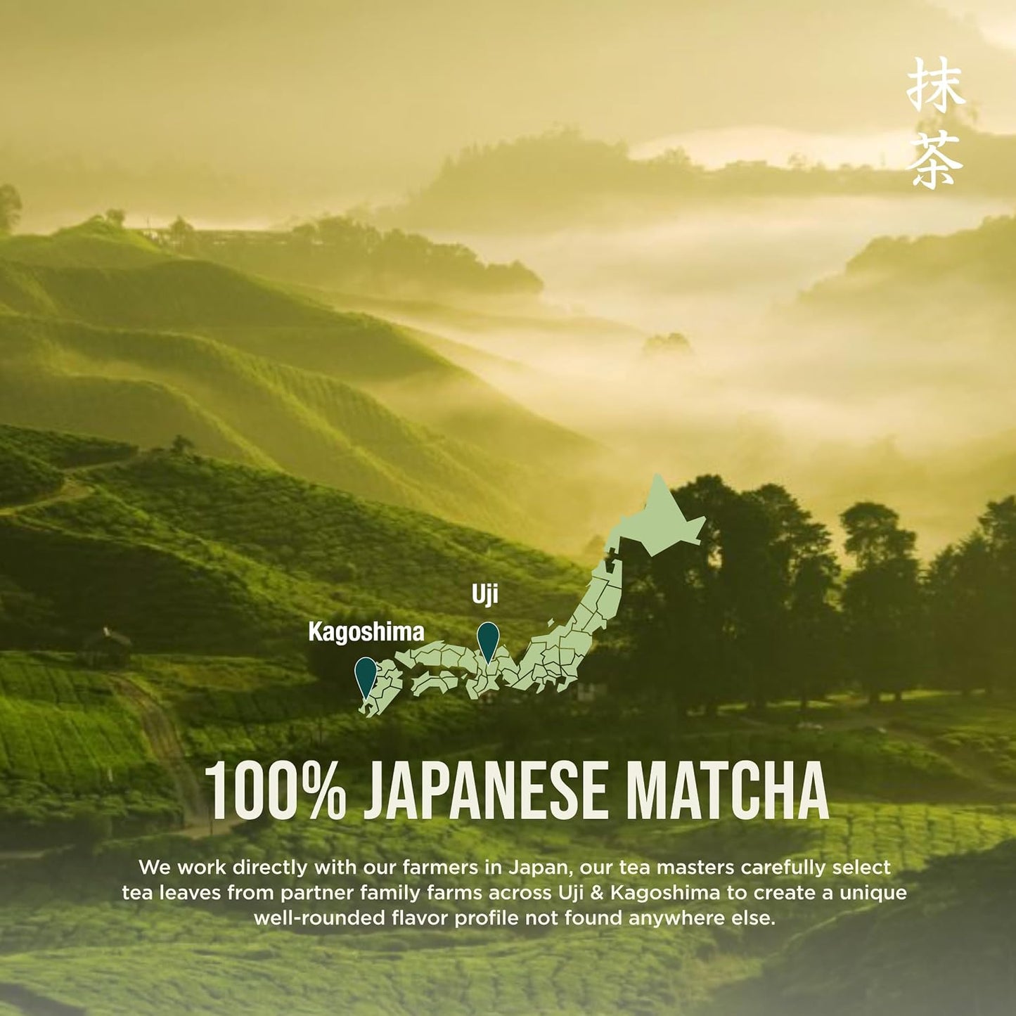 Jade Leaf Matcha Powder, Organic Culinary Grade, 30g / 1.06oz