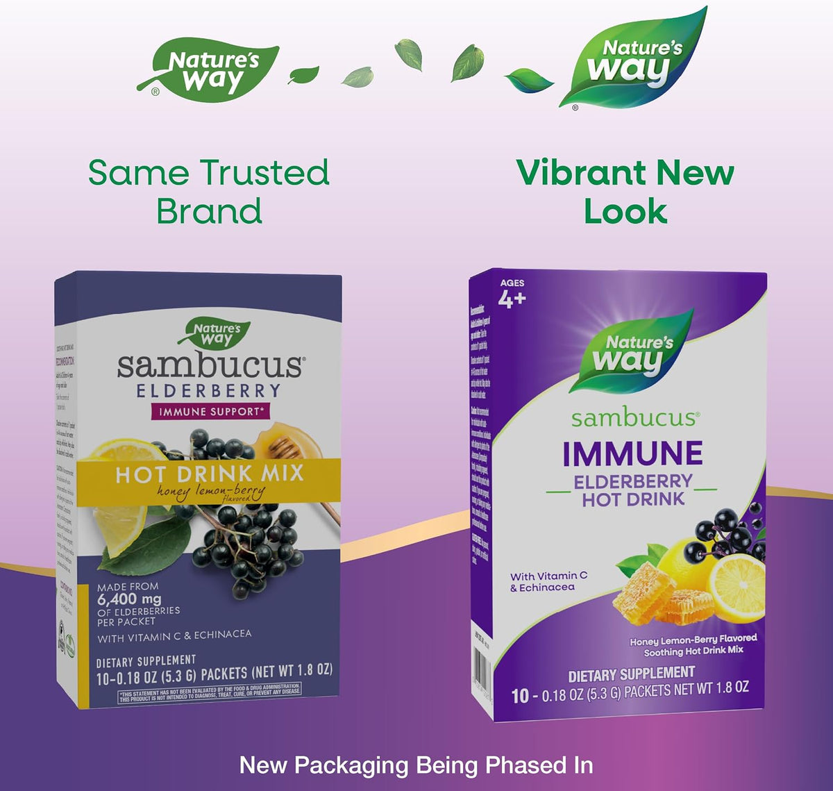 Nature's Way Sambucus Elderberry Hot Drink Mix, Honey Lemon-Berry, 10 ct