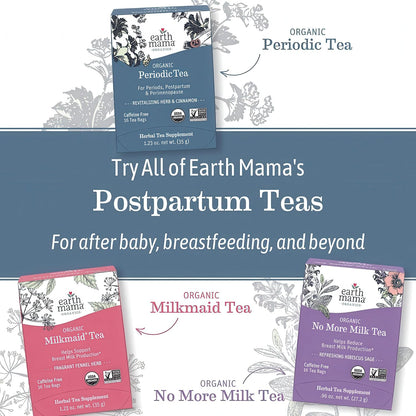 Earth Mama Organic Red Raspberry Leaf Tea | Labor Prep & Menstrual Support Herbal Tea, Pregnancy & Postpartum Care Recovery | 32 Teabags | Caffeine Free & Non-GMO