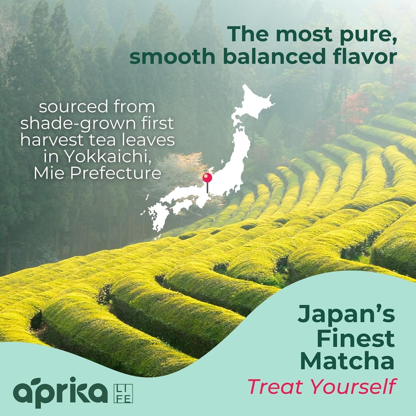 AprikaLife Matcha Latte Powder, Premium Barista Crafted Mix with Natural Vanilla Flavor - Authentically Japanese - 1st Harvest Ceremonial Grade, Sweet Matcha Powder Used by Coffee Shops 6.8 oz / 180g