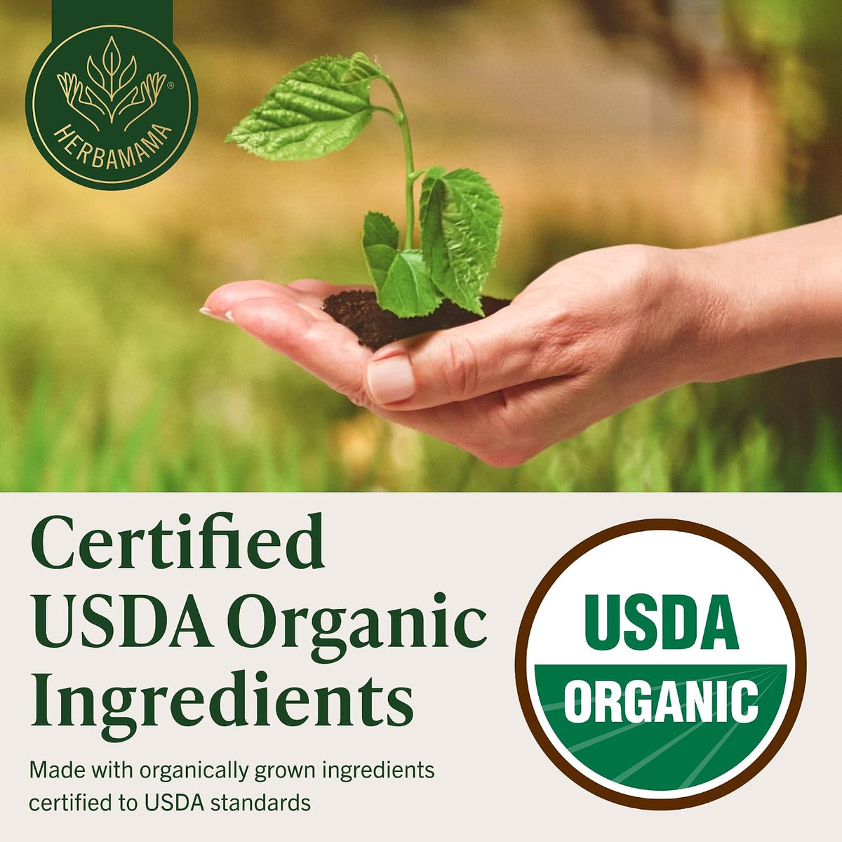 HERBAMAMA USDA Organic Stinging Nettle Root - Urinary Tract Support - 4 oz