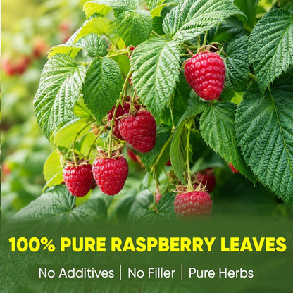 TEAWOO Red Raspberry Leaf Tea, Herbal Tea Bags