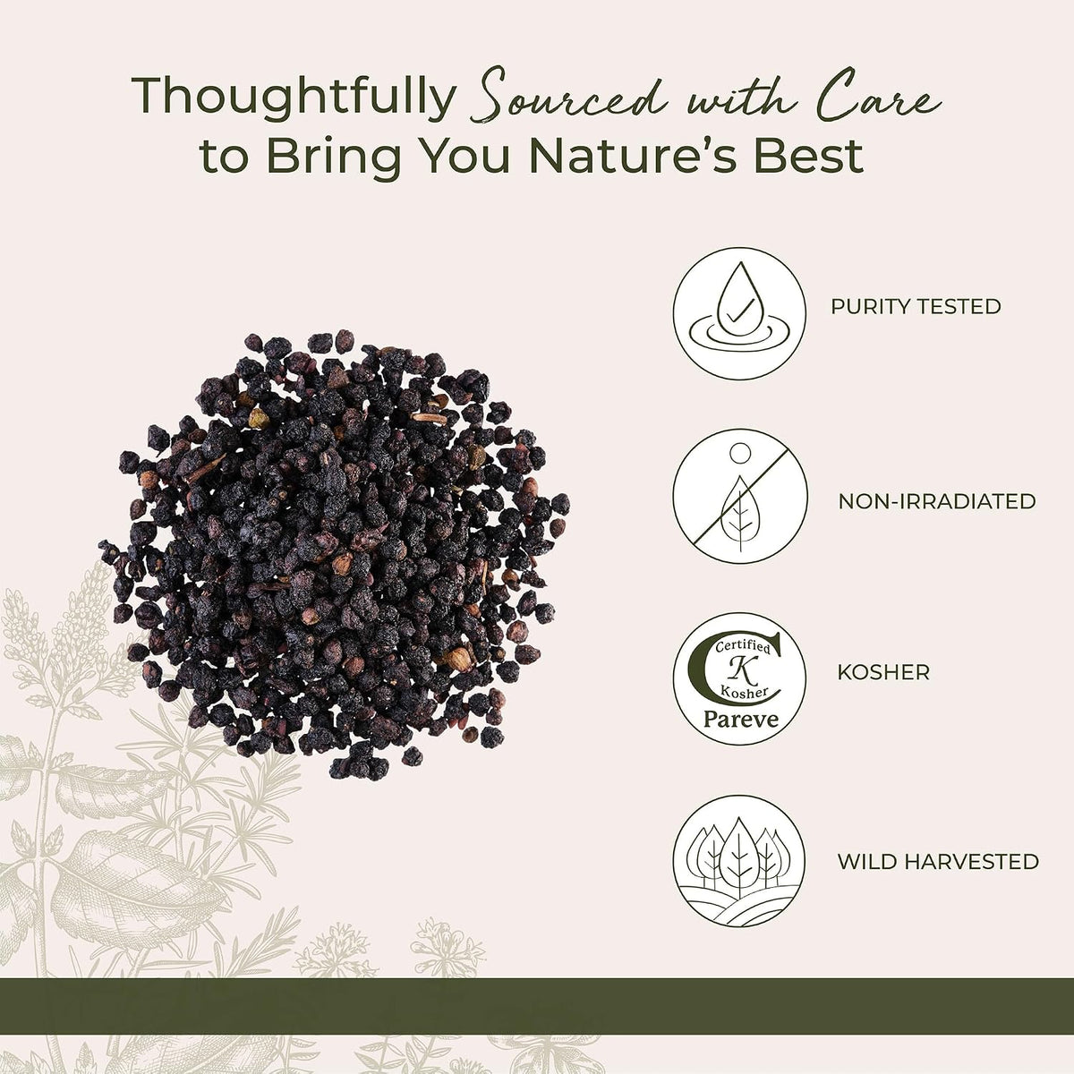 Starwest Botanicals Whole Elderberries, Tea, Gummies, & Jam - Bulk 1 lb Bag