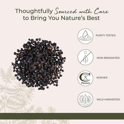 Starwest Botanicals Whole Elderberries, Tea, Gummies, & Jam - Bulk 1 lb Bag