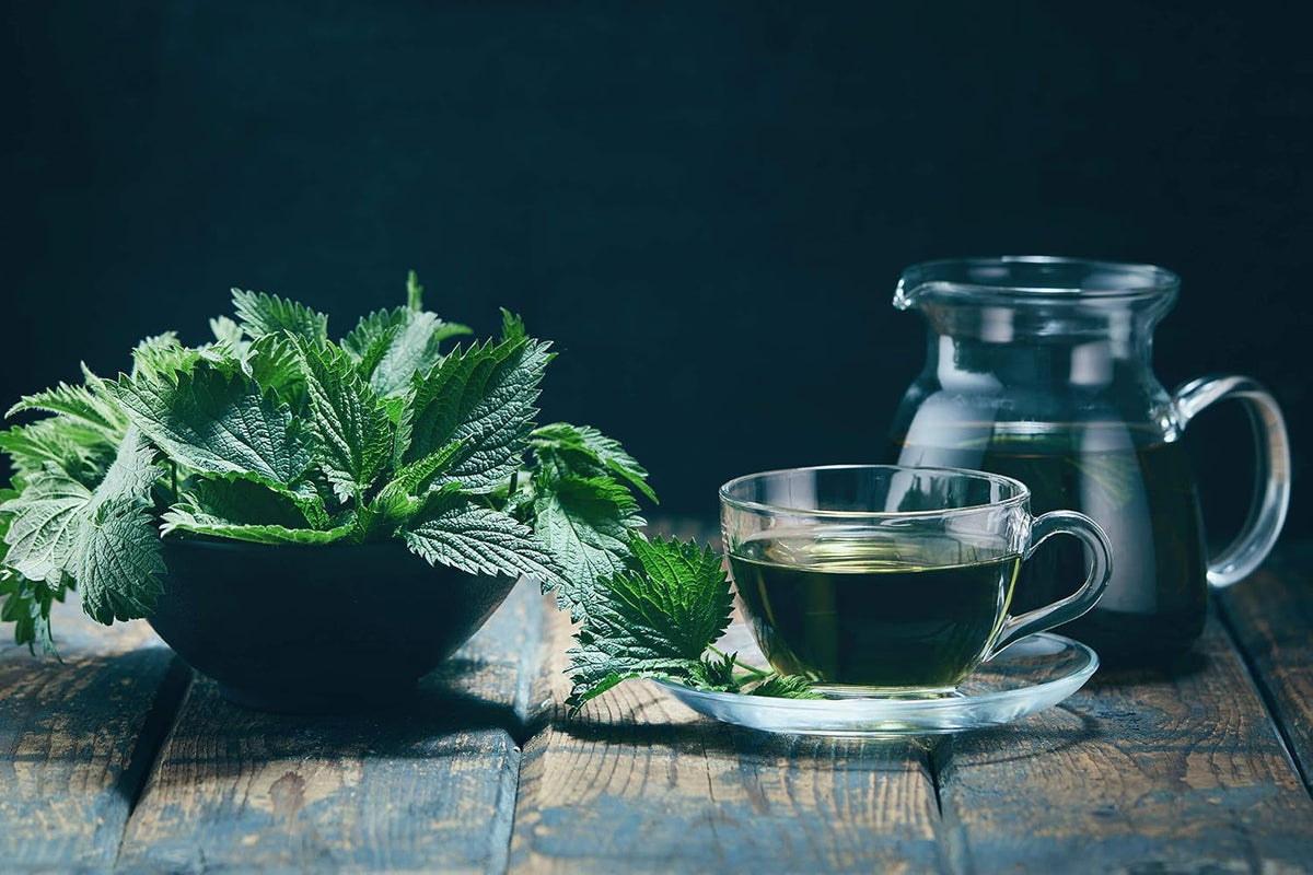 Nettle Tea - 8Oz (REAL WILD HARVEST) | 100% USDA Certified ORGANIC | Loose Leaf (Urtica Dioica aka Stinging Nettle) Cut & Sifted