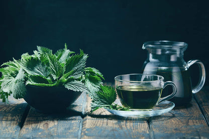 Nettle Tea - 8Oz (REAL WILD HARVEST) | 100% USDA Certified ORGANIC | Loose Leaf (Urtica Dioica aka Stinging Nettle) Cut & Sifted