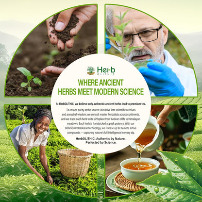 HerbOLITHIC 8-in-1 Nettle Leaf Tea Bags for Joint Health. 30 Bags 3g/bag.