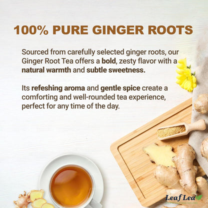 LeafLea Ginger Tea Bags, Strong Ginger Herbal Tea, 160 Count Bulk