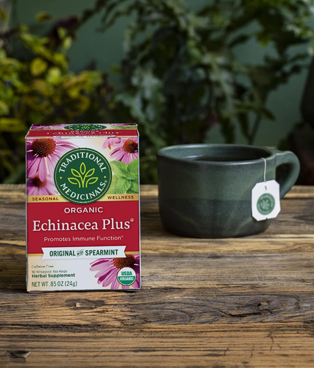 TRADITIONAL MEDICINALS Echinacea Plus Tea,16 Count (Pack of 2)