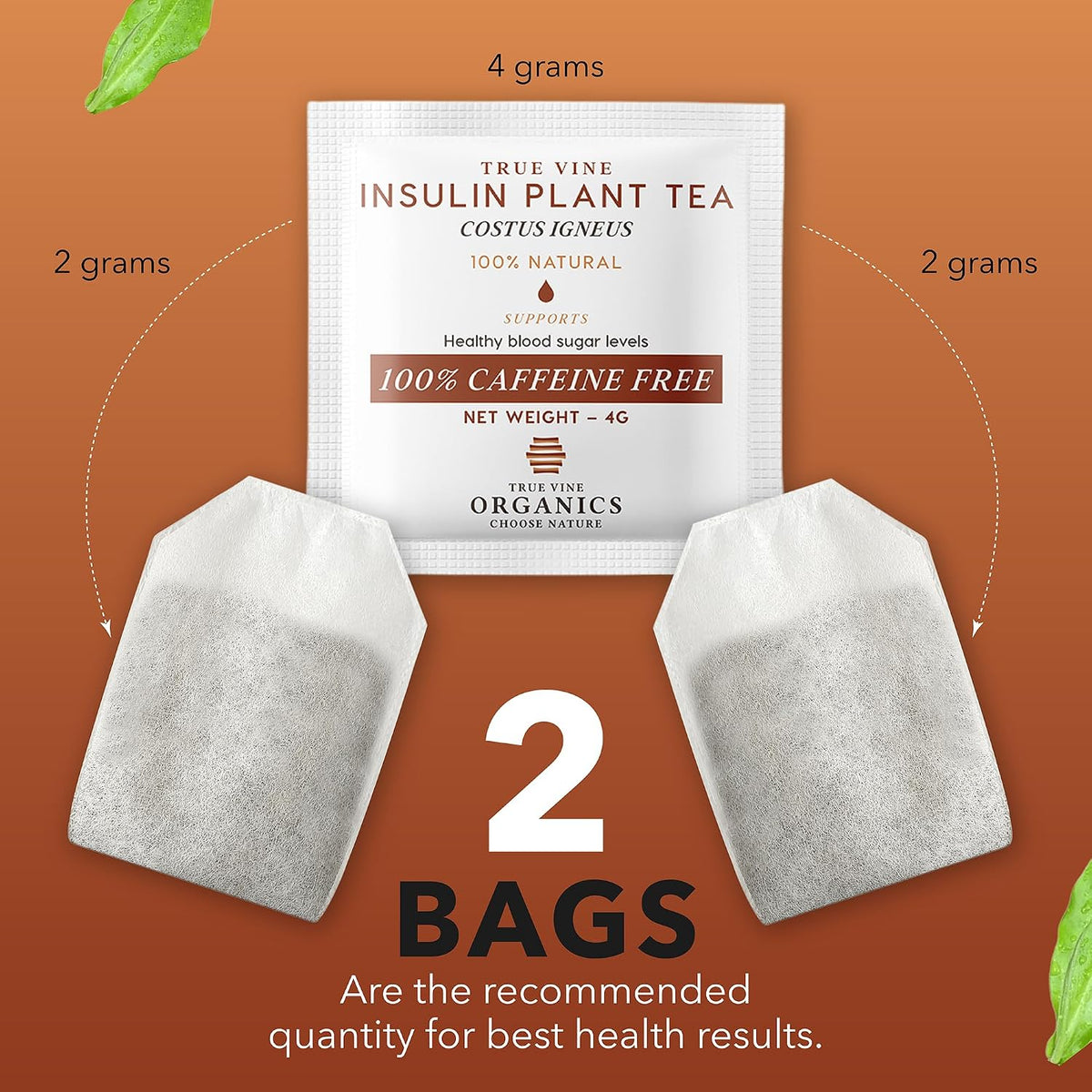 Insulin Plant Tea — USDA Organic Herbal Tea Bags (31 Sachets, 4g Each)