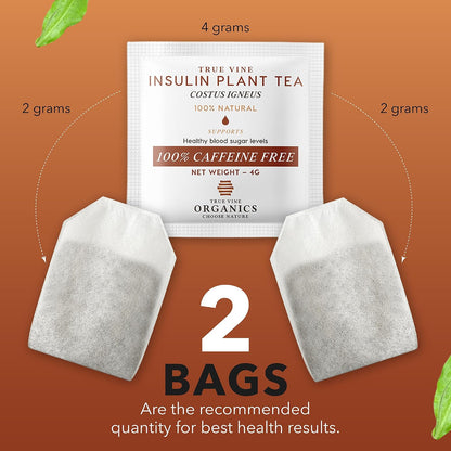 Insulin Plant Tea — USDA Organic Herbal Tea Bags (31 Sachets, 4g Each)