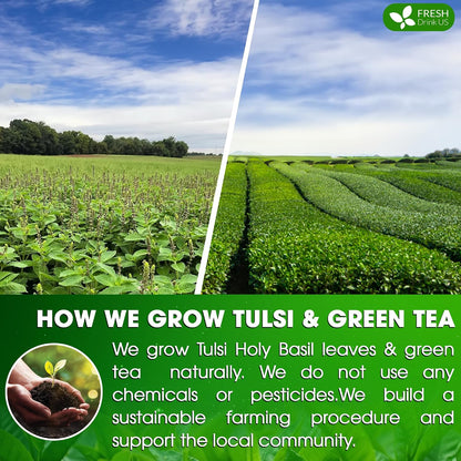 FreshDrinkUS, Premium 55 Tulsi Green Tea Bags, 100% Natural & Pure, Herbal Tea, No Sugar, No Caffeine, No Gluten, Vegan.