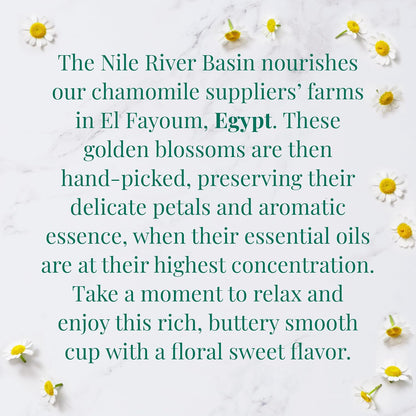 The Republic of Tea SuperHerb Organic Egyptian Chamomile Herbal Tea, 36 Ct