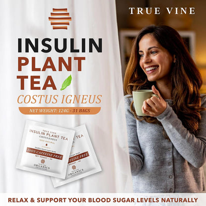 Insulin Plant Tea — USDA Organic Herbal Tea Bags (31 Sachets, 4g Each)