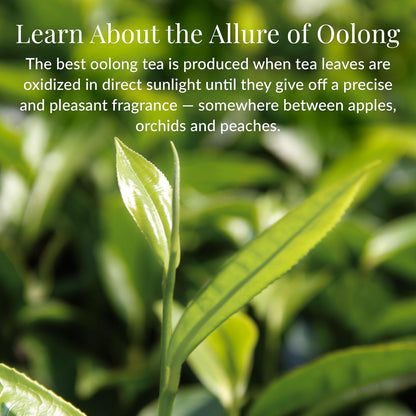 The Republic of Tea Milk Oolong Tea, Naturally Caffeinated, 36 Count
