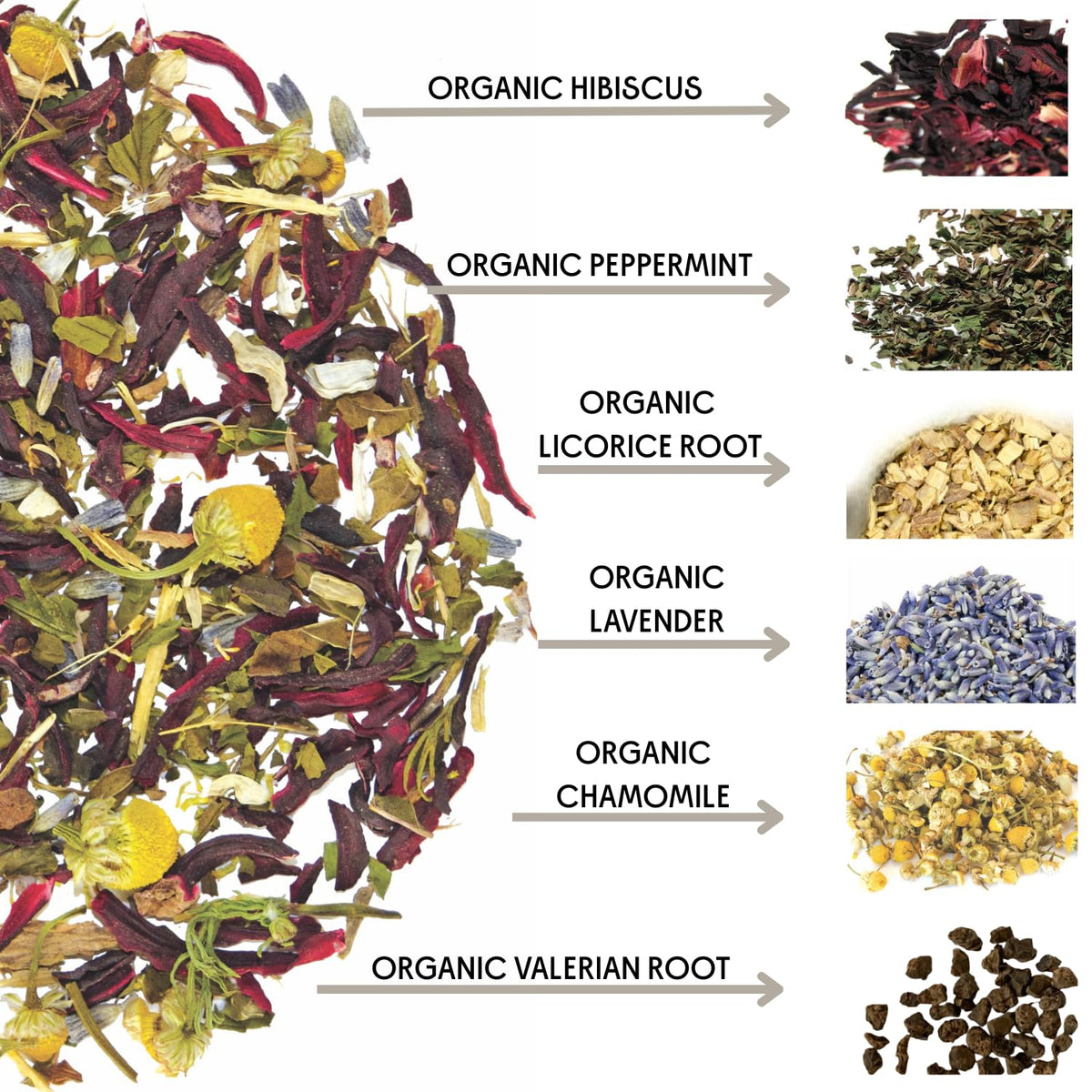 The Tea Spot Organic Lights Out Tea | Caffeine-Free 15 Tea Bags, Pack of 1