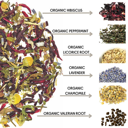 The Tea Spot Organic Lights Out Tea | Caffeine-Free 15 Tea Bags, Pack of 1