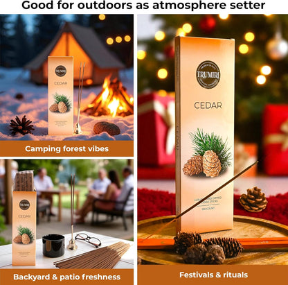Hem Incense Sticks Variety Pack #23-120 Insence-Sticks (6 Incents x 20 Insense) + Incense Stick Holder with 6 Most Liked Scents Including Patchouli Dragons Blood White Sage Frankincense-Myrrh