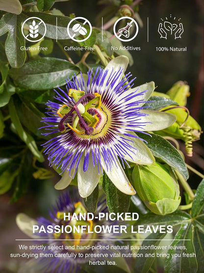 TeeLux Passionflower Tea Bags, Smooth & Mellow, Caffeine Free, 100 ct